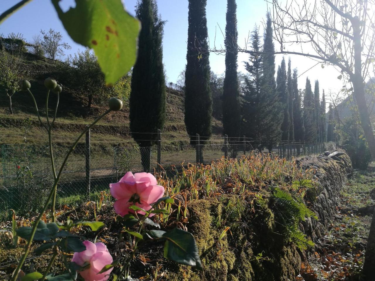 Podere Groppini Fivizzano Exterior foto